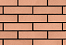 сафари стенка.png